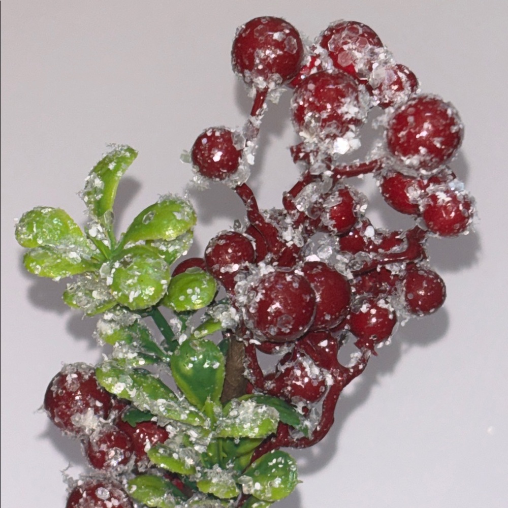 Snow Frosted Red Berry Stems Glitter Red Berries Eucalyptus Picks Set of 12 NWT - Picture 13 of 16